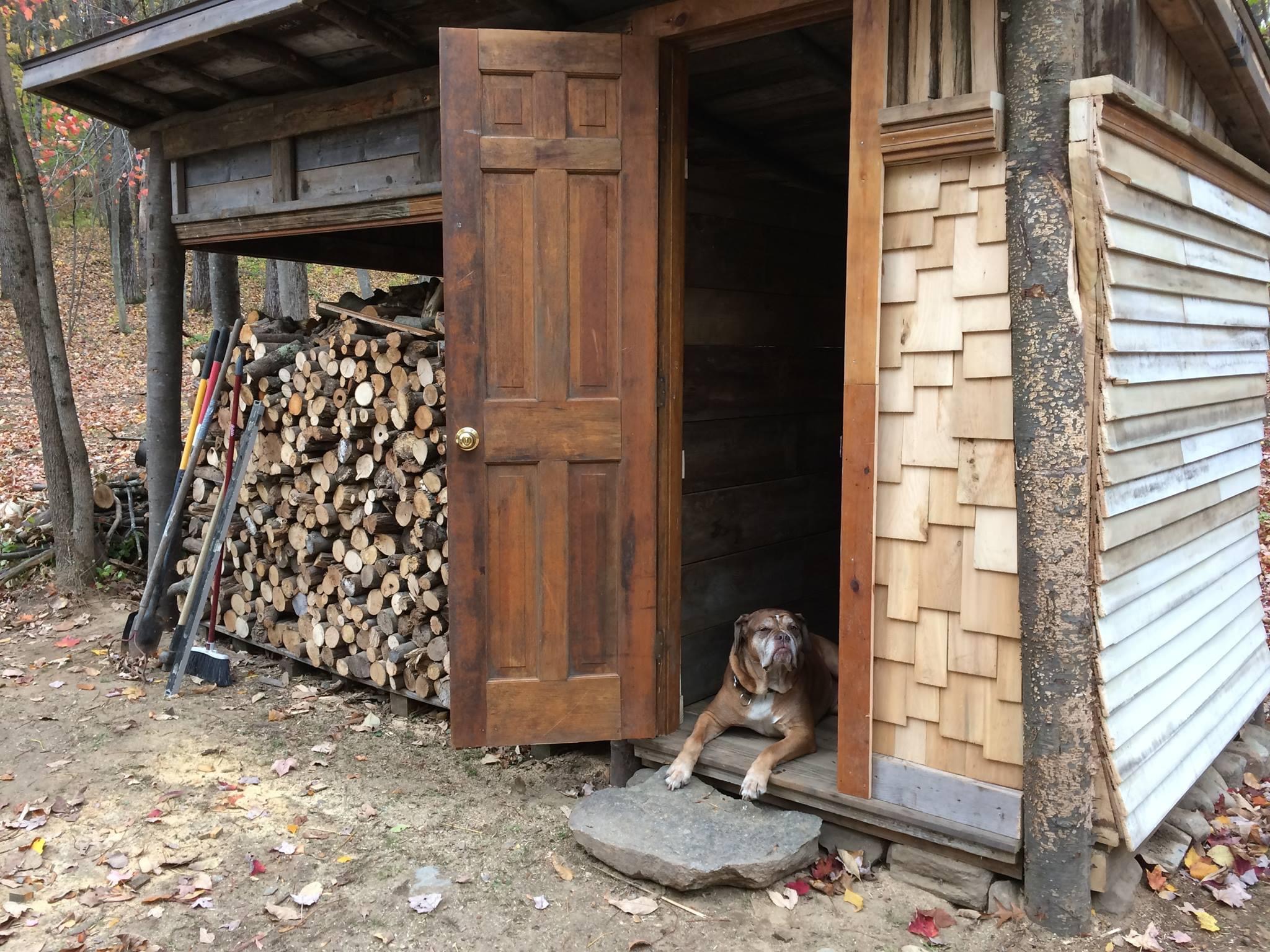 Woodshed Chaos