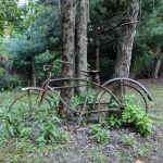 Rusty bike